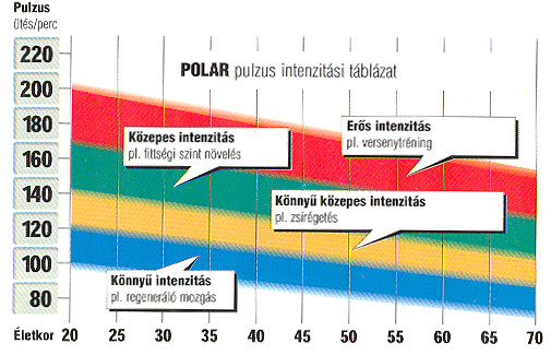 Pulzus és
                célzóna az életkor függvényében